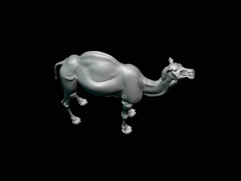 Dromedary Camel Statue Design 1 - 3D Print Model 3D Print Model