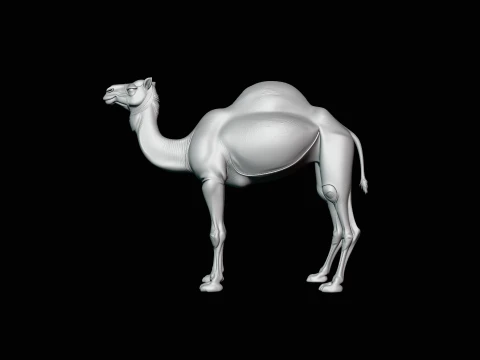 Dromedary Camel Statue Design 2 - 3D Print Model 3D Print Model