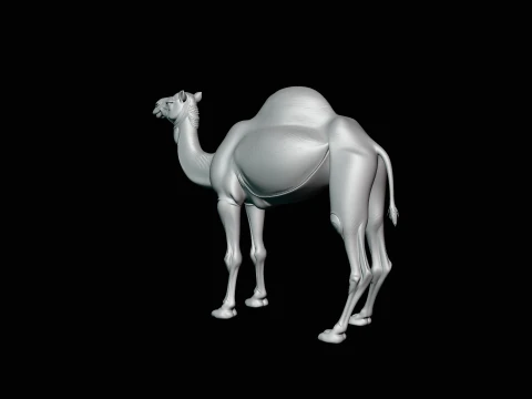 Dromedary Camel Statue Design 2 - 3D Print Model 3D Print Model