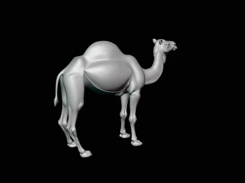 Dromedary Camel Statue Design 2 - 3D Print Model 3D Print Model