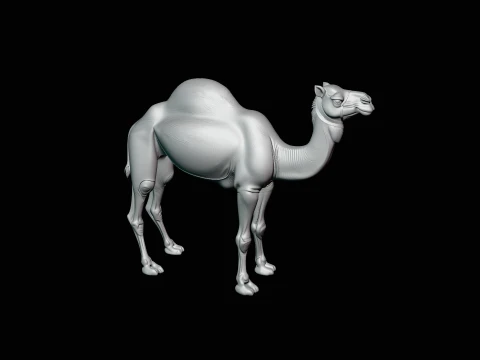 Dromedary Camel Statue Design 2 - 3D Print Model 3D Print Model