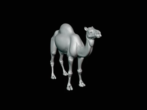 Dromedary Camel Statue Design 2 - 3D Print Model 3D Print Model