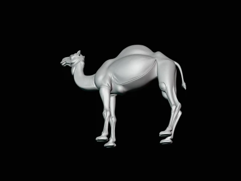 Dromedary Camel Statue Design 2 - 3D Print Model 3D Print Model