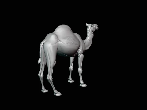 Dromedary Camel Statue Design 3 - 3D Print Model 3D Print Model