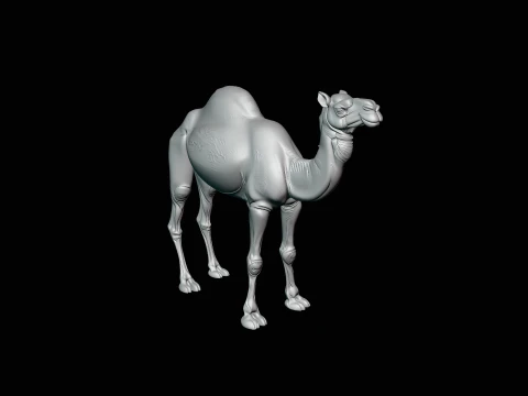 Dromedary Camel Statue Design 3 - 3D Print Model 3D Print Model