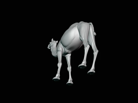 Dromedary Camel Statue Design 3 - 3D Print Model 3D Print Model