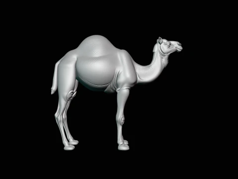 Dromedary Camel Statue Design 4 - 3D Print Model 3D Print Model