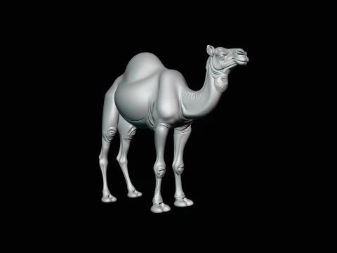 Dromedary Camel Statue Design 4 - 3D Print Model 3D Print Model