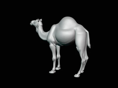 Dromedary Camel Statue Design 4 - 3D Print Model 3D Print Model