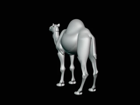 Dromedary Camel Statue Design 4 - 3D Print Model 3D Print Model