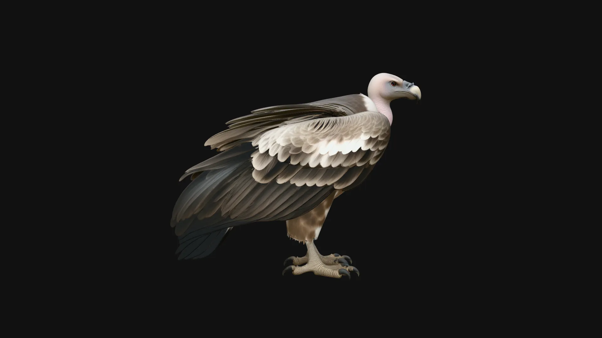 Griffon Vulture Statue Design 2 - 3D Print Model 3D Print Model .c4d .max .obj .3ds .fbx .stl .blend 
