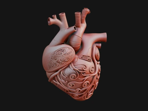 Ornate Anatomical Heart Statue Design 1 - 3D Print Model 3D Druckmodell