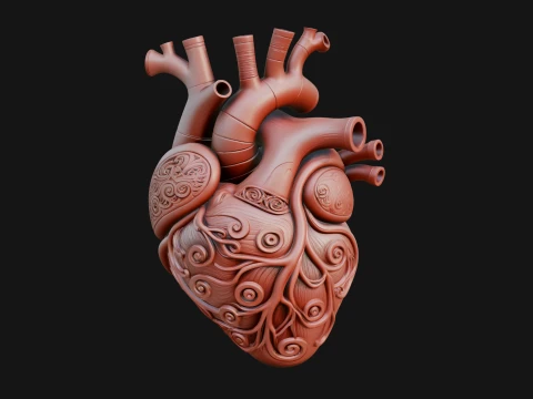Ornate Anatomical Heart Statue Design 1 - 3D Print Model 3D Print Model