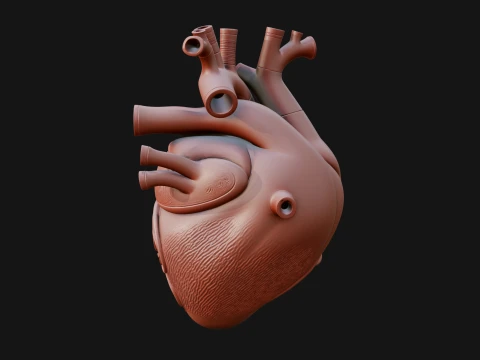Ornate Anatomical Heart Statue Design 1 - 3D Print Model 3D Print Model