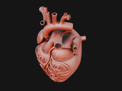 Ornate Anatomical Heart Statue Design 1 - 3D Print Model 3D Print Model