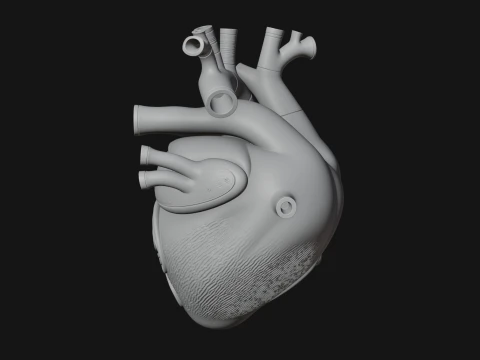Ornate Anatomical Heart Statue Design 1 - 3D Print Model 3D Print Model