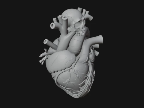 Skull and Heart Anatomy Statue Design 1 - 3D Print Model 3D Print Model