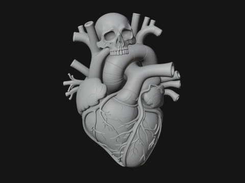 Skull and Heart Anatomy Statue Design 1 - 3D Print Model 3D Print Model