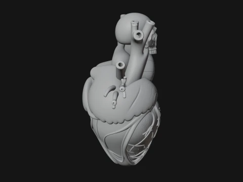 Skull and Heart Anatomy Statue Design 1 - 3D Print Model 3D Print Model