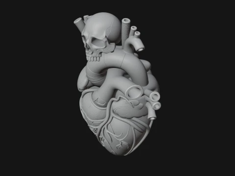 Skull and Heart Anatomy Statue Design 1 - 3D Print Model 3D Print Model