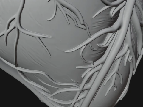 Skull and Heart Anatomy Statue Design 1 - 3D Print Model 3D Print Model