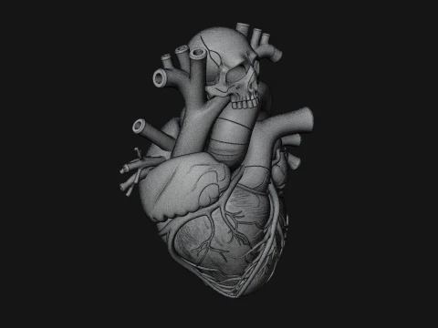 Skull and Heart Anatomy Statue Design 1 - 3D Print Model 3D Print Model