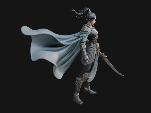 Caped Woman Warrior Statue Design 1 - 3D Print Model 3D Print Model