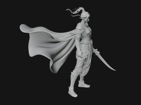 Caped Woman Warrior Statue Design 1 - 3D Print Model 3D Print Model