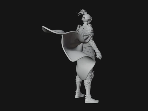 Caped Woman Warrior Statue Design 1 - 3D Print Model 3D Print Model