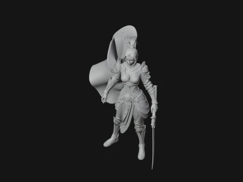 Caped Woman Warrior Statue Design 1 - 3D Print Model 3D Print Model