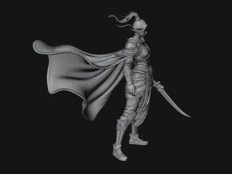 Caped Woman Warrior Statue Design 1 - 3D Print Model 3D Print Model
