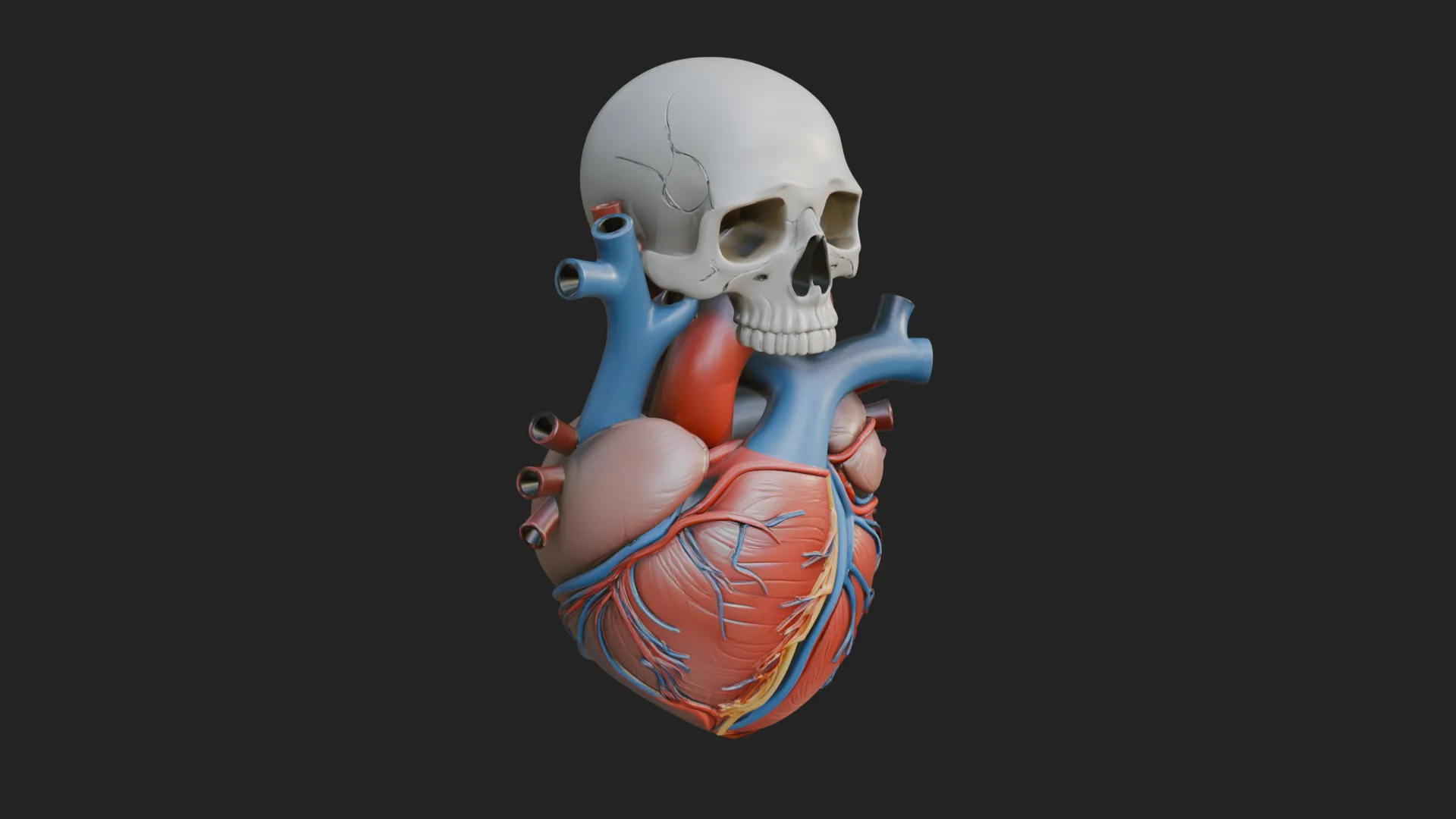 Skull and Heart Anatomy Statue Design 2 - 3D Print Model 3D Print Model .c4d .max .obj .3ds .fbx .stl .blend 