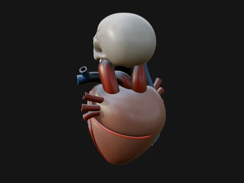 Skull and Heart Anatomy Statue Design 2 - 3D Print Model 3D Print Model