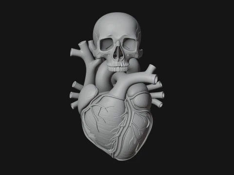Skull and Heart Anatomy Statue Design 2 - 3D Print Model 3D Print Model
