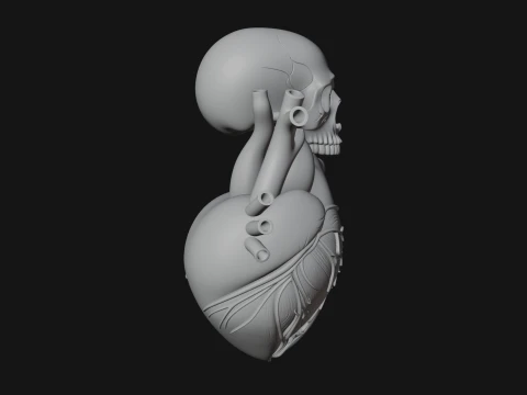 Skull and Heart Anatomy Statue Design 2 - 3D Print Model 3D Print Model