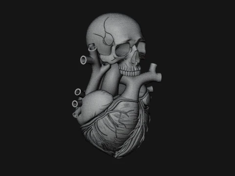 Skull and Heart Anatomy Statue Design 2 - 3D Print Model 3D Print Model