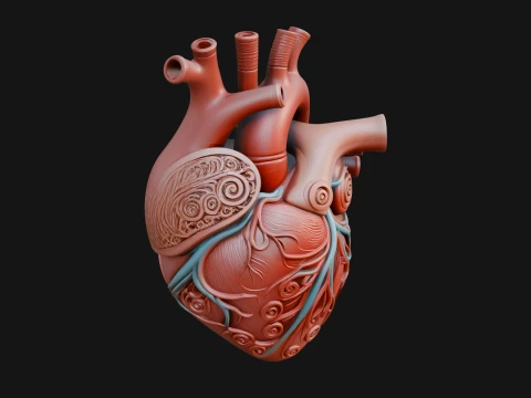 Ornate Anatomical Heart Statue Design 2 - 3D Print Model Modello di stampa 3D