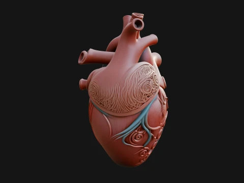 Ornate Anatomical Heart Statue Design 2 - 3D Print Model 3D Print Model