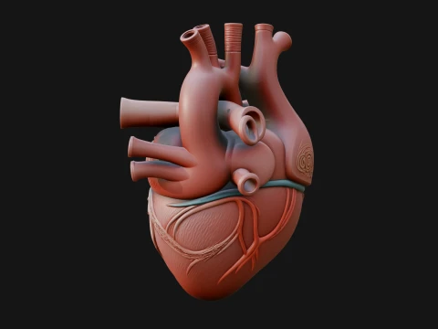 Ornate Anatomical Heart Statue Design 2 - 3D Print Model 3D Print Model