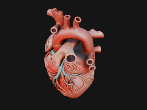 Ornate Anatomical Heart Statue Design 2 - 3D Print Model 3D Print Model