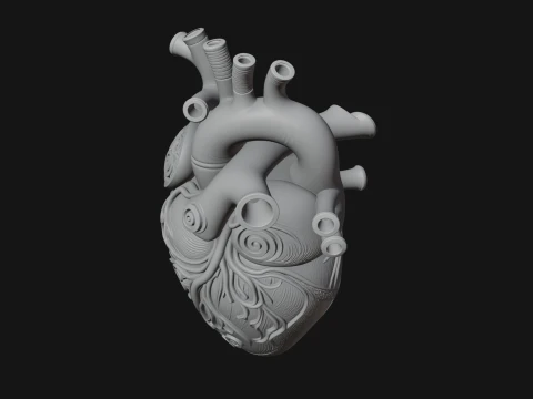 Ornate Anatomical Heart Statue Design 2 - 3D Print Model 3D Print Model