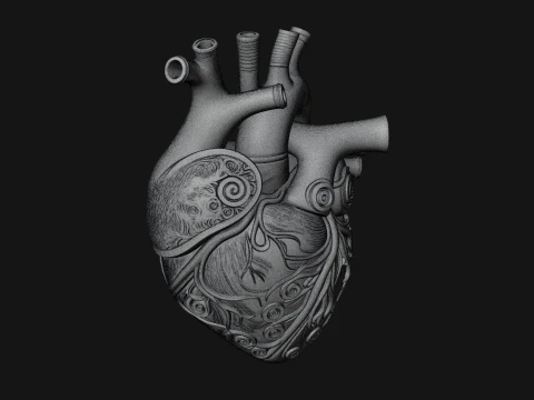Ornate Anatomical Heart Statue Design 2 - 3D Print Model 3D Print Model