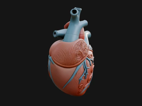 Ornate Anatomical Heart Statue Design 3 - 3D Print Model 3D Print Model