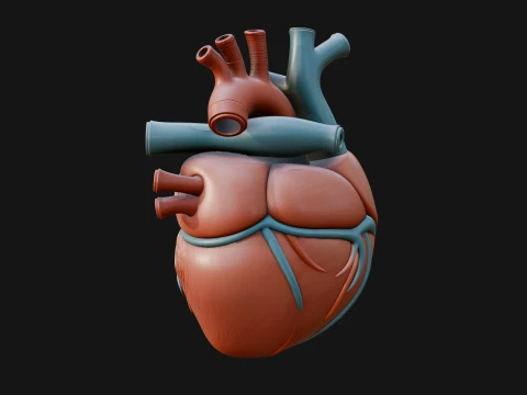 Ornate Anatomical Heart Statue Design 3 - 3D Print Model 3D Print Model