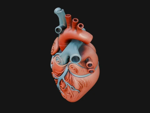 Ornate Anatomical Heart Statue Design 3 - 3D Print Model 3D Print Model