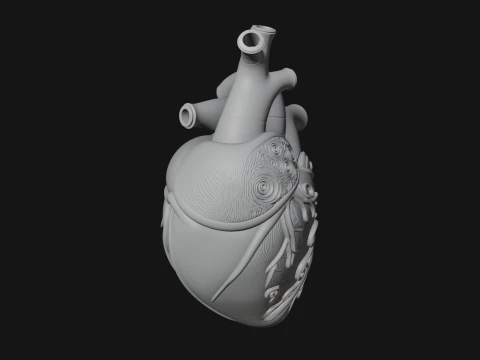 Ornate Anatomical Heart Statue Design 3 - 3D Print Model 3D Print Model