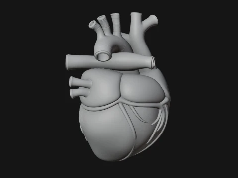 Ornate Anatomical Heart Statue Design 3 - 3D Print Model 3D Print Model