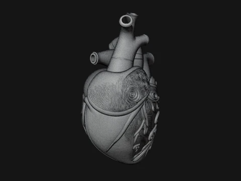 Ornate Anatomical Heart Statue Design 3 - 3D Print Model 3D Print Model