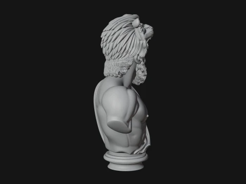 Hercules Lion Pelt Bust Statue Design 3 - 3D Print Model 3D Druckmodell