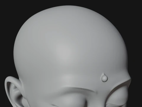 Praying Monk Bust Statue Design 1 - 3D Print Model 3D Print Model